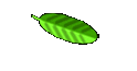 Belegung