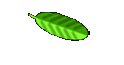 Fotos / Grundriss