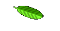 akt. Wetter & links