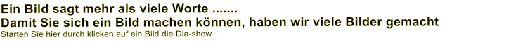 Ein Bild sagt mehr als viele Worte .......Damit Sie sich ein Bild machen können, haben wir viele Bilder gemacht Starten Sie hier durch klicken auf ein Bild die Dia-show